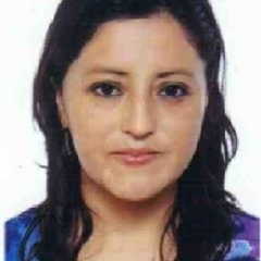 Foto de Maritza G., Planchado a domicilio baratos en Móstoles