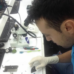 Foto de carlos v., Pintores a domicilio baratos en La Orotava