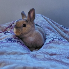 Foto de Israel G., Electricistas baratos en Granollers