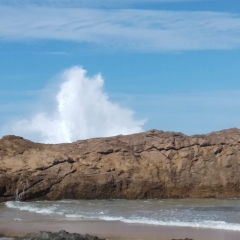 Foto de francisco manuel r., Pintores a domicilio baratos en Beas