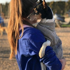Foto de Yolanda P., Profesores particulares de primaria y secundaria baratos en Lahiguera