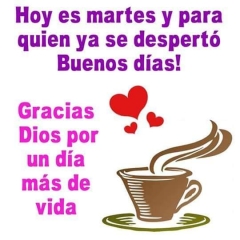 Foto de Maria V., Cuidadores de personas mayores baratos en Sant Cugat del Vallès