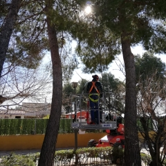 Foto de Francisco José C., Jardineros baratos en Pozo-Lorente
