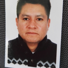 Foto de Carlos M., Planchado a domicilio baratos en Villaviciosa de Odón