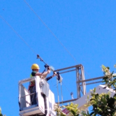 Foto de Carlos M., Electricistas baratos en Villalba del Alcor
