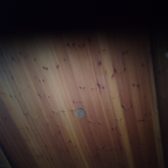 Foto de Cristina B., Limpieza  de Hogar baratos en Culleredo
