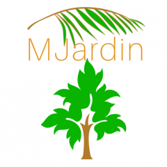 Foto de MJardin limpieza y jardinería M., Limpiadores de coches baratos en Parla