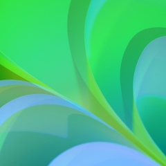 Foto de Margy E., Limpiadores de coches baratos en Vigo