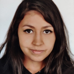 Foto de Yeraldine G., Limpieza  de Hogar baratos en Colmenar Viejo