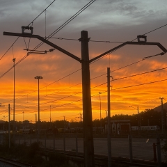 Foto de Daniela M., Cuidadores de personas mayores baratos en Gipuzkoa