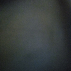 Foto de Jesús E., Limpieza  de Hogar baratos en Dos Hermanas