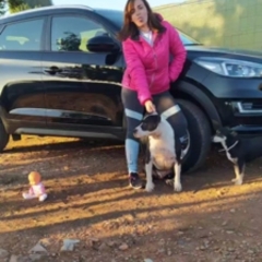 Foto de Belén C., Canguros y niñeras baratos en Vila-real