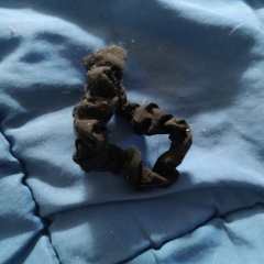 Foto de Noelia P., Planchado a domicilio baratos en Todolella