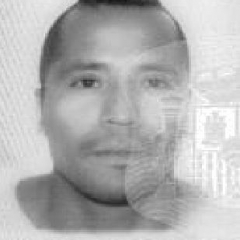 Foto de Henry P., Limpiadores de negocios baratos en Bunyola