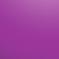 Foto de Rita R., Peluqueros de animales baratos en Ciudad Rodrigo