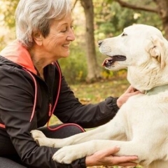 Foto de multiservicios s., Masajistas baratos en Es Mercadal