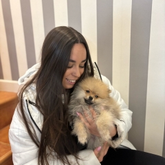 Foto de Amanda Z., Limpieza  de Hogar baratos en Torrelavega