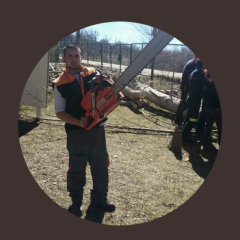 Foto de Ivan R., Jardineros baratos en Los Rábanos