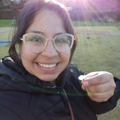 Foto de Layla M., Limpieza de cristales baratos en Santiago de Compostela