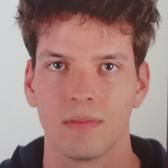 Foto de julio D., Jardineros baratos en San Vicente del Raspeig/Sant Vicent del Raspeig