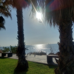 Foto de Shadha A., Limpiezas Fin de Obras baratos en Mondéjar