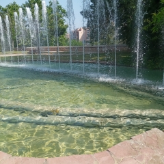 Foto de Luis S., Profesionales de Limpieza baratos en Manises