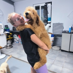 Foto de Faustina L., Peluqueros de animales baratos en Pajares de Adaja