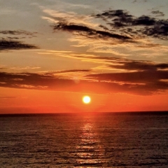 Foto de Toni R., Limpieza  de Hogar baratos en Sant Pol de Mar